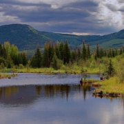 Top 10 Tumbler Ridge